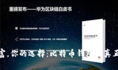 你的数字财富，你的选择