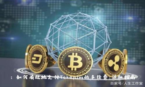 : 如何有效地支付Tokenim的手续费：详细指南