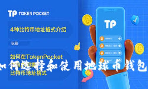 如何选择和使用地球币钱包？