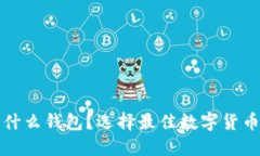 炒虚拟币用什么钱包？选