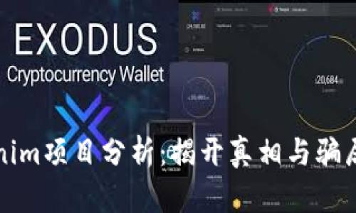 Tokenim项目分析：揭开真相与骗局背后