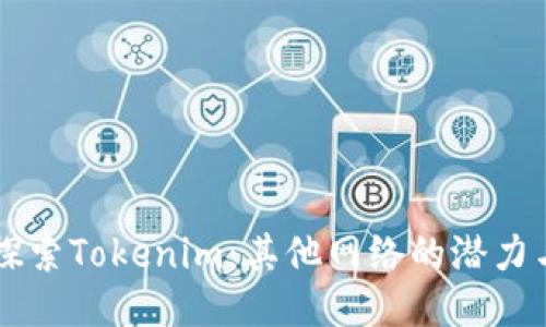 深入探索Tokenim：其他网络的潜力与应用