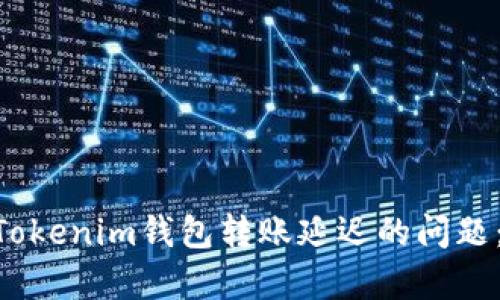 Title: 解决TokenTokenim钱包转账延迟的问题：提高您的转账效率