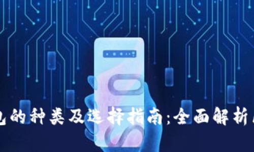 区块链钱包的种类及选择指南：全面解析区块链钱包