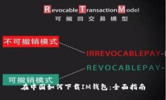 在中国如何下载IM钱包：全