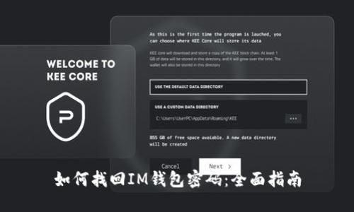 如何找回IM钱包密码：全面指南
