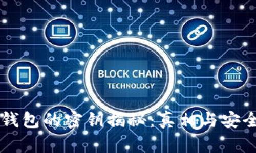 区块链钱包的密钥揭秘：真相与安全性分析