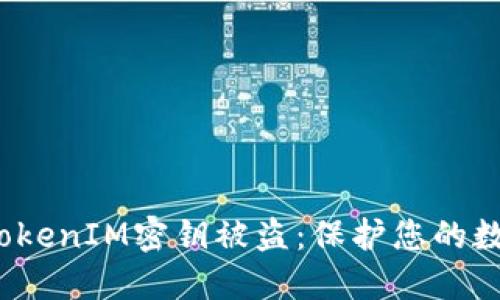  如何应对TokenIM密钥被盗：保护您的数字资产安全