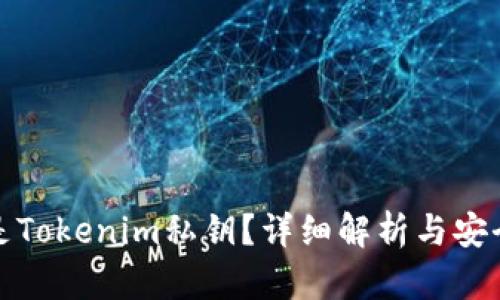 什么是Tokenim私钥？详细解析与安全防护