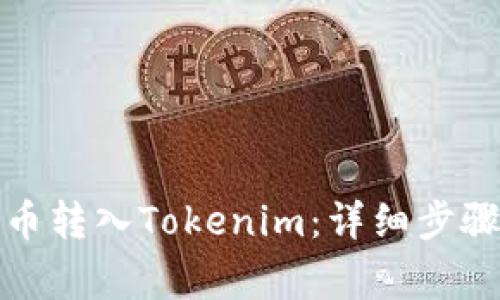 如何将狗狗币转入Tokenim：详细步骤与注意事项
