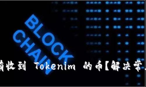 为什么我没有收到 Tokenim 的币？解决常见问题的指南