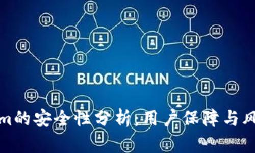 Tokenim的安全性分析：用户保障与风险评估