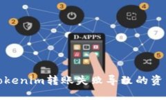 如何解决Tokenim转账失败导